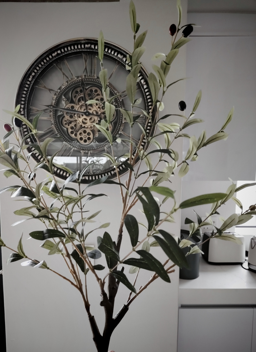 To Let 6 Bedroom Property for Rent in Brackenridge Western Cape